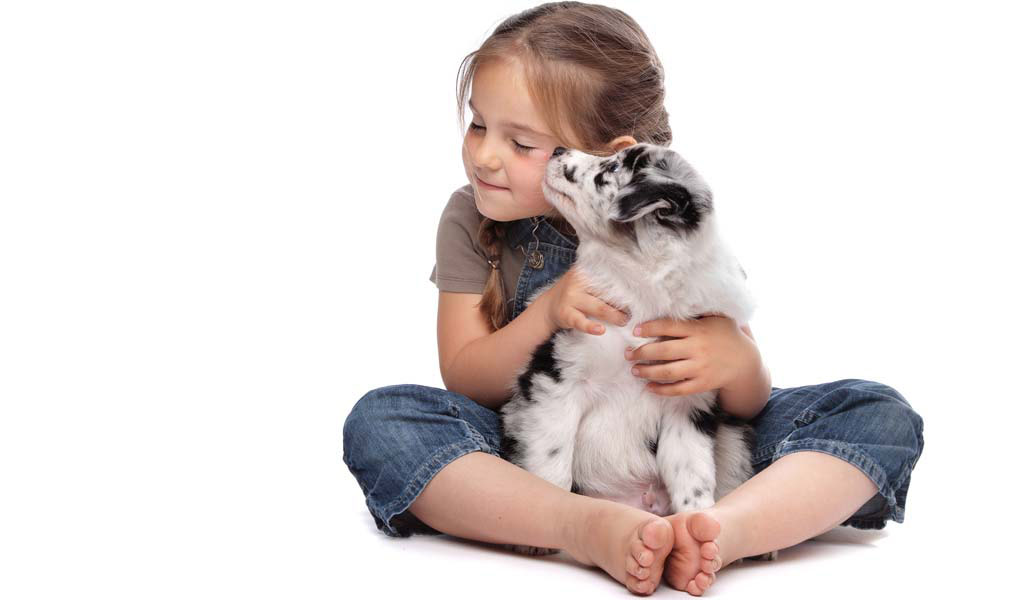 رفتار سگ با کودکان
